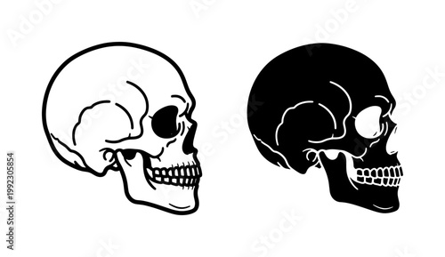 Canvastavla Human Skull Vector Icons, Black and White Anatomical Illustrations, Gothic and M