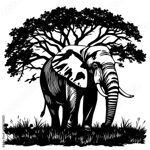 A black and white illustration of an elephant standing under a tree on transparent background