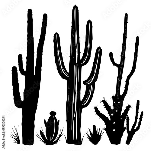 A black silhouette of cacti and succulents on a transparent background