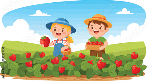 Cartoon children picking strawberries, farm kids collecting red berries, summer harvest scene, vector illustration