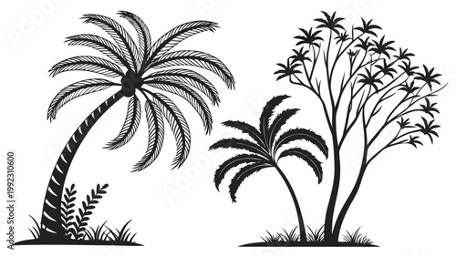Vector illustration of tropical palm trees and exotic vegetation with tropical silhouette botanical