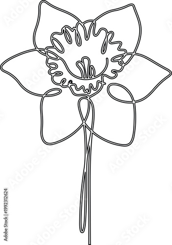 Minimal Single Line Daffodil Flower Continuous Line Art Botanical Illustration on White Background