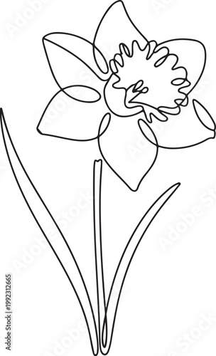 Minimal Single Line Daffodil Flower Continuous Line Art Botanical Illustration on White Background