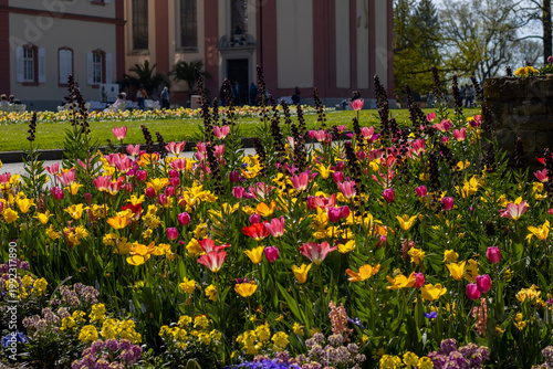 Blumenfeld in Mainau - Makro Photografie - Deutschland, April 2026