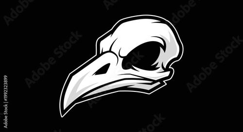 Bird Skull Animal Wildlife Death.