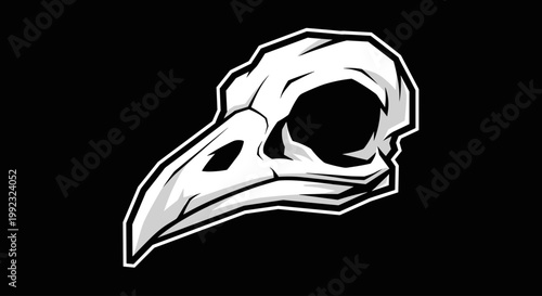 Bird Skull Animal Wildlife Illustration.
