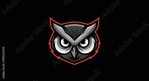 Owl Face Closeup Grey Eyes.