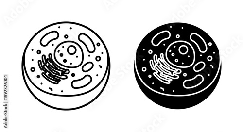 Human Animal Cell Anatomy Icon Set