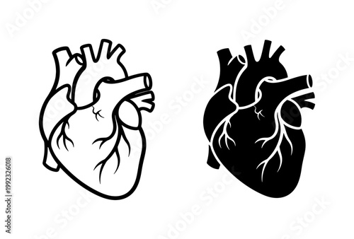 Anatomical Human Heart Vector Icons Set