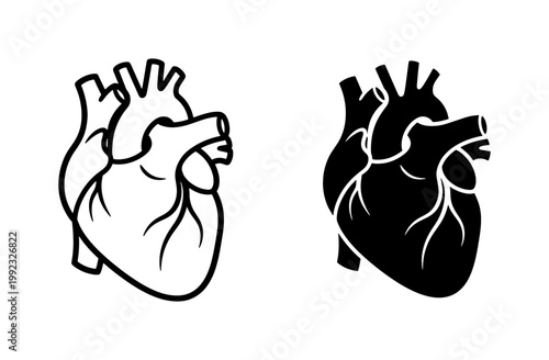 Human Anatomical Heart Vector Outline and Silhouette Set