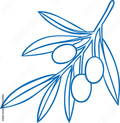 Branch of olives with leaves blue line art vector icon, raw olive fruit farm product, harvest plant Mediterranean menu