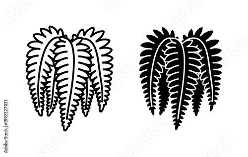 Foto Fern Leaf Silhouette and Outline Vector Set