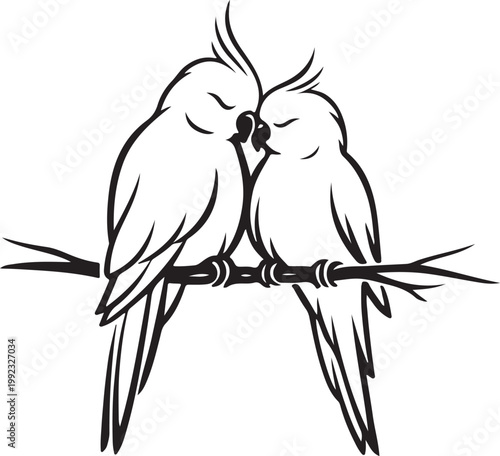 Elegant Cockatiel Bird Couple in Love Line Art Vector Sitting on Branch for Romantic Nature and Wildlife Theme