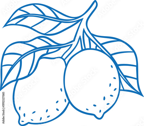Juicy lemons on branch with leaves vector blue line art, tropical sour citrus fruits, Mediterranean menu design element