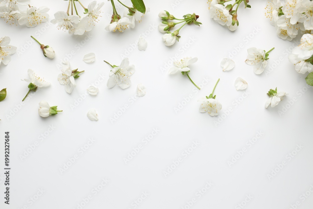 Naklejka premium Beautiful cherry tree blossoms on white background, flat lay. Space for text