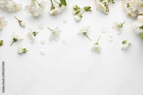 Beautiful cherry tree blossoms on white background, flat lay. Space for text