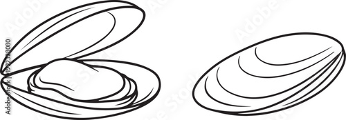 Minimal Shellfish Mussel Line Art Vector Illustration for Seafood Menu Ocean Life and Marine Food Design