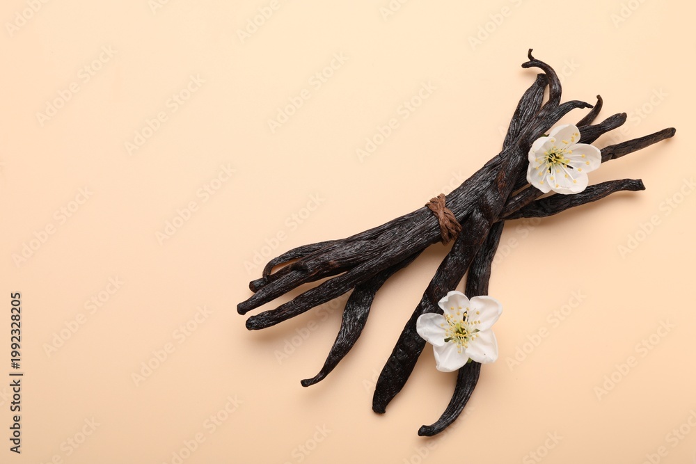 Fototapeta premium Vanilla pods and flowers on beige background, top view. Space for text