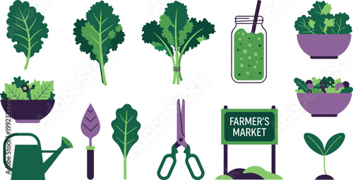 Organic Kale and Leafy Greens Vector Icon Set Featuring Fresh Kale Bunches, Green Smoothie Jar, Salad Bowls, Farmer's Market Sign, Watering Can, and Gardening Tools