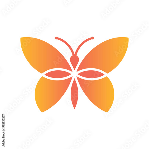 Colorful Butterfly Vector Gradient Editable Insect Elegant Modern Illustration