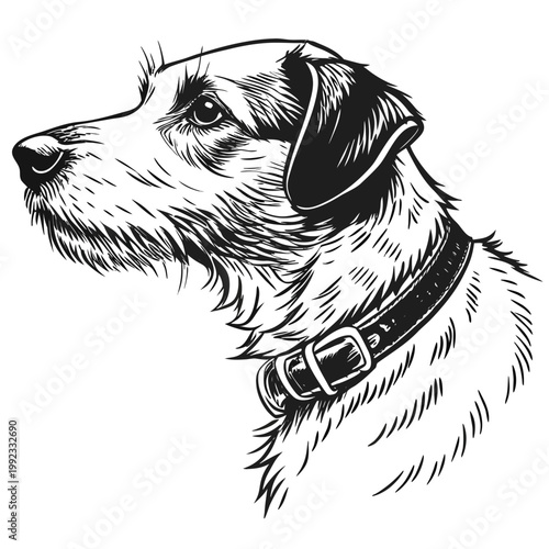 Vector illustration of a terrier dog profile portrait with portrait illustration domestic companion