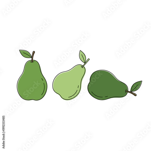 Three green pears vector graphic isolated on white background. Suitable for posters, icons, designs, or fruit shops. Natural organic vectors