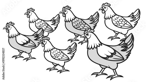 Vector illustration of a group of chickens standing together with chickens livestock agriculture domestic