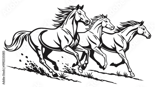 Vector illustration of three galloping horses running in a pack with galloping stallion equestrian movement