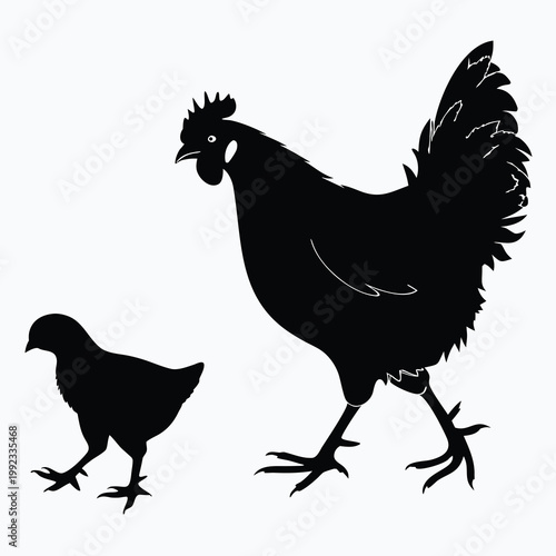 Vector illustration of a hen and her chick silhouette with silhouette offspring minimalist illustration