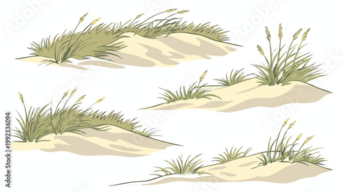 Vector illustration of sand dune mounds with marram grass vegetation landscape vegetation dunescape