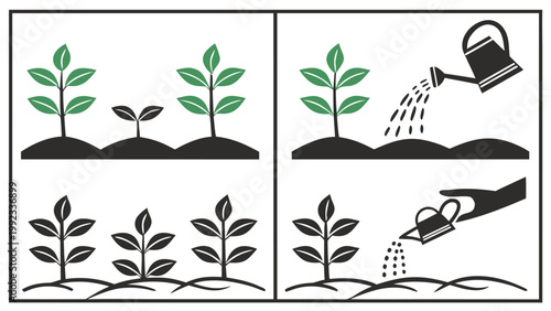 Vector illustration of a gardening infographic showing the growth cycle of plants and watering techniques
