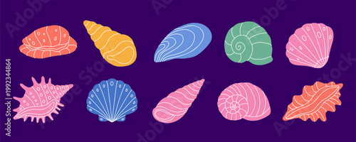 Seashell and starfish illustration collection colorful marine shell set vector art summer beach ocean objects dark background