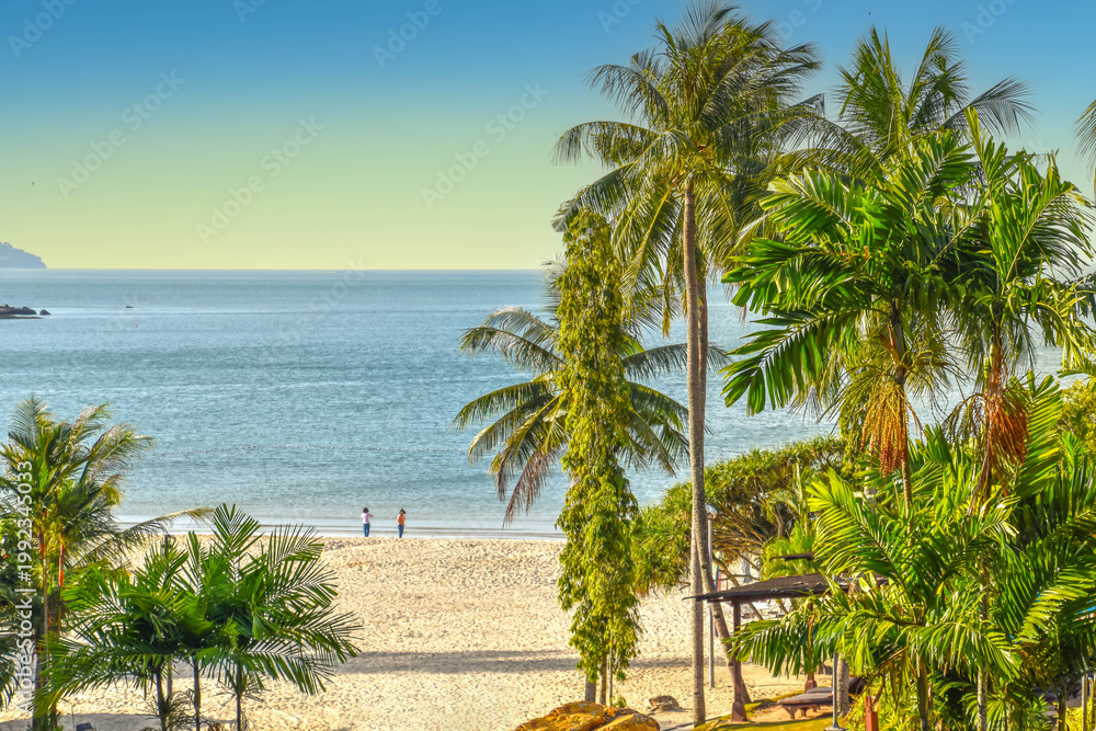 Fototapeta premium tropical beach with palm trees in Thailand