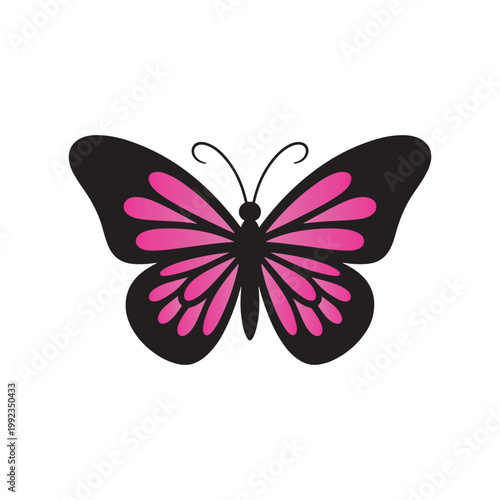 Colorful Butterfly Vector Gradient Editable Insect Elegant Modern Illustration