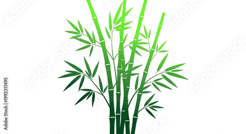 Green bamboo stalks with leaves