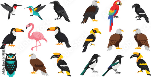 Large collection of different bird species including eagle parrot owl flamingo and toucan isolated on white background for nature education wildlife graphic design and vector illustration