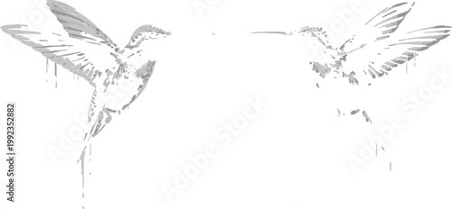 Hummingbirds face each other in a delicate line art composition rendered in shades of grey.