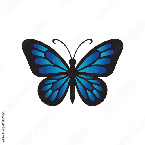 Colorful Butterfly Vector Gradient Editable Insect Elegant Modern Illustration