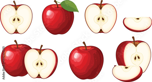 Fresh Red Apple Whole Half Slice and Cut Vector Illustration Set Showing Juicy Fruit with Seeds Leaf and Core for Food Nature and Healthy Diet Design