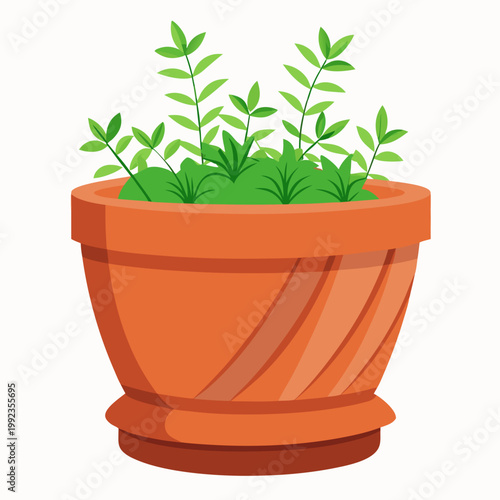 Round terracotta pot with tall green plant illustration