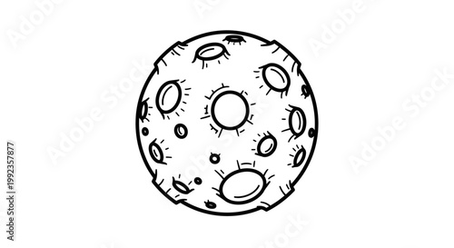 Illustrated lunar surface with craters and rough texture on a white backdrop