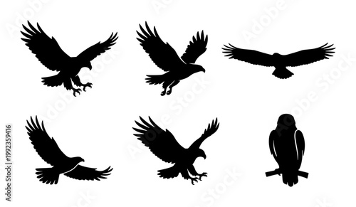 Eagle silhouette vector set, flying hawk and falcon bird icons, black predatory eagle shapes in flight, 6 wild bird of prey graphics for logos