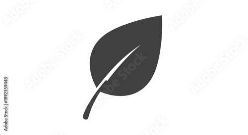 Minimalist leaf illustration against white background for design elements