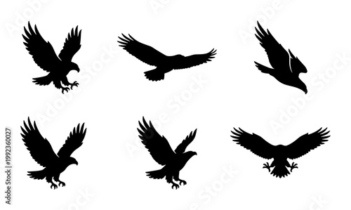 Eagle silhouette collection, 6 flying bird of prey vector elements, black hawk and falcon icons, soaring predatory birds for logo design