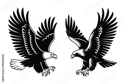 Two eagles in flight silhouettes facing each other with bird of prey, wildlife