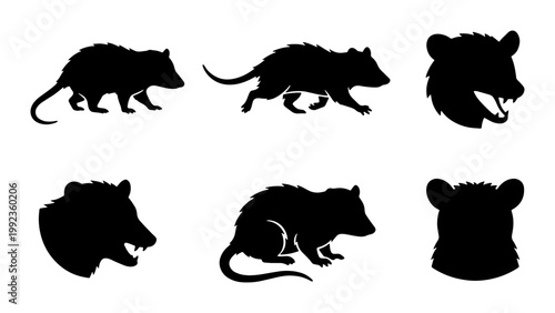 Opossum silhouette vector set, wild marsupial animal icons, black opossum head and body shapes, 6 wildlife graphics for nature design