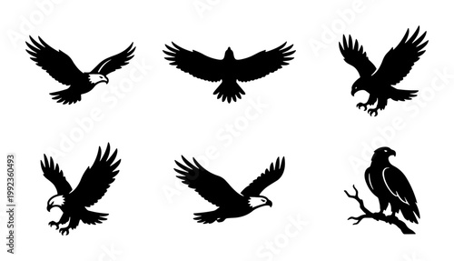 Bald eagle silhouette vector set, 6 black bird of prey icons, flying hawk and soaring falcon illustrations, majestic wildlife predator graphics
