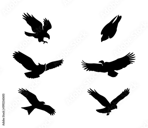 Flying birds of prey silhouettes, set of 6 eagle and hawk vector icons, black predatory bird shapes in flight, wild raptor wing span graphics