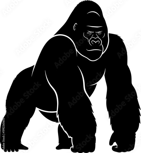 Large silverback gorilla standing silhouette isolated on white background for wildlife and nature graphic design
