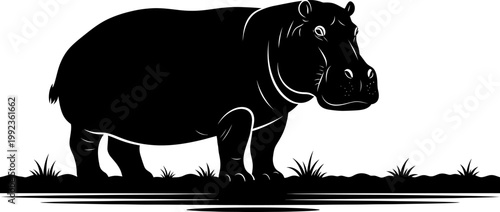 Hippopotamus silhouette standing in water with grass foreground isolated on white background for nature design